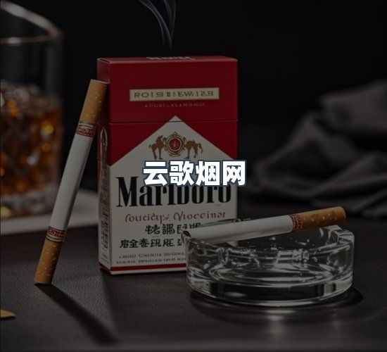 关于云歌烟网